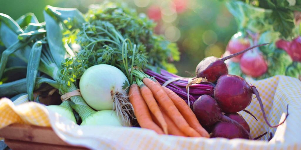 agriculture basket beets 533360 e1564855925634