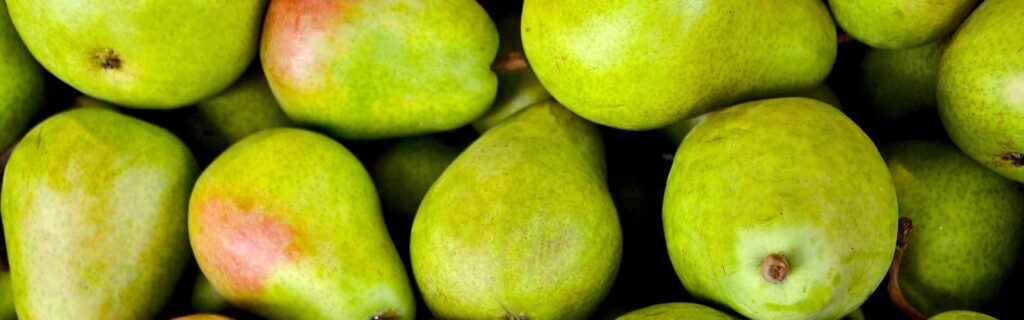 fruit 1534494 1920 e1566789868763