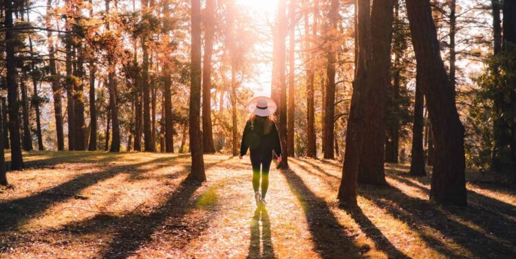 janelle soto BFdb2hCgetE unsplash e1566846220591