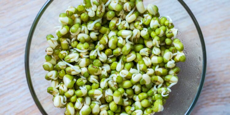 AdobeStock 322562020