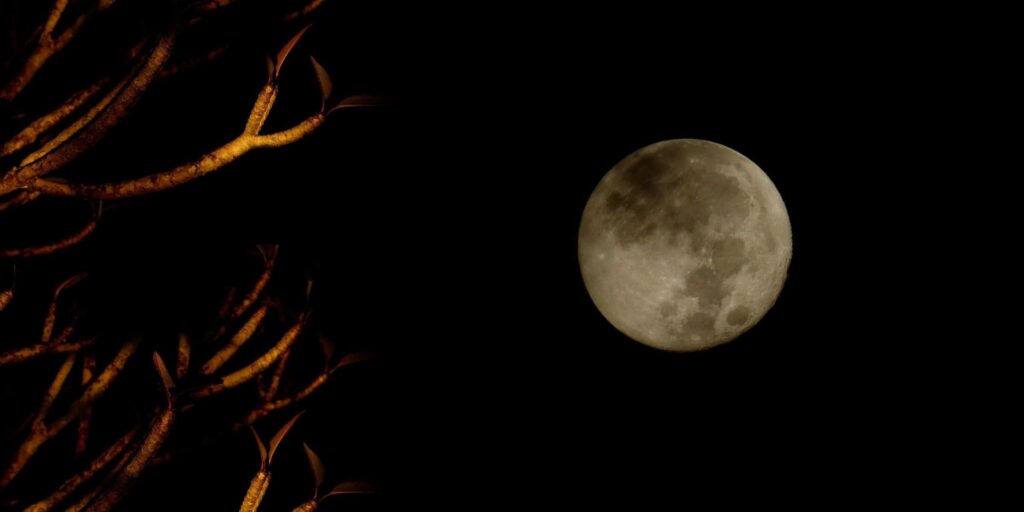 hero 2400x1200 fullmoon2