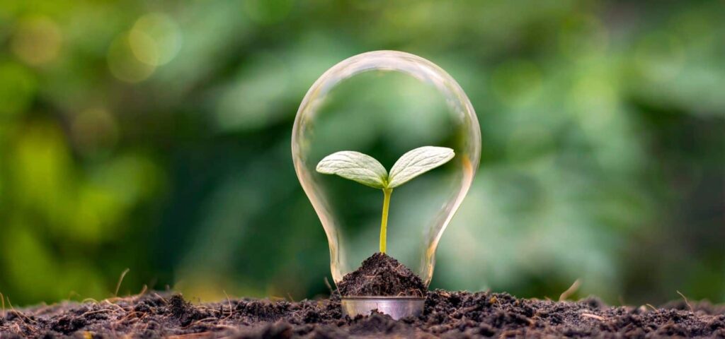 sustainable selfcare