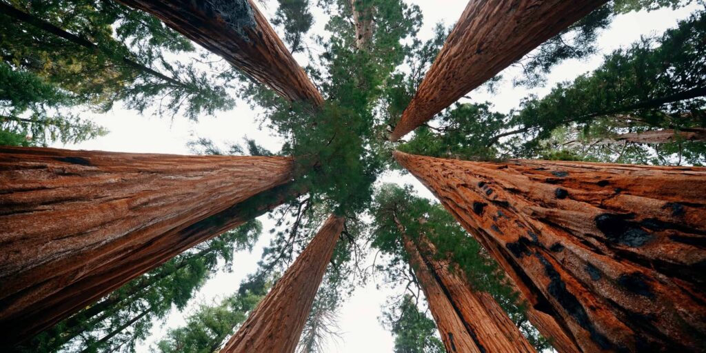 Blog Hero 2400 x 1200