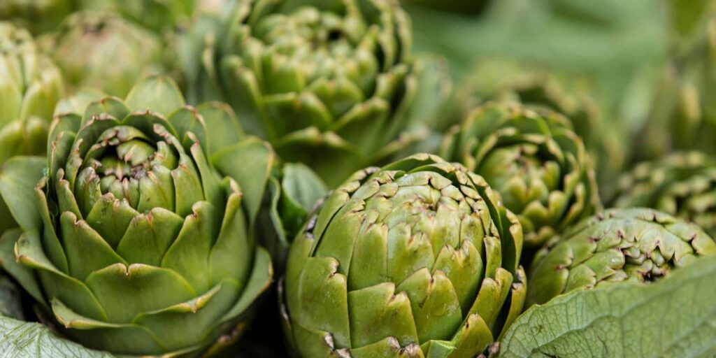 artichokes2