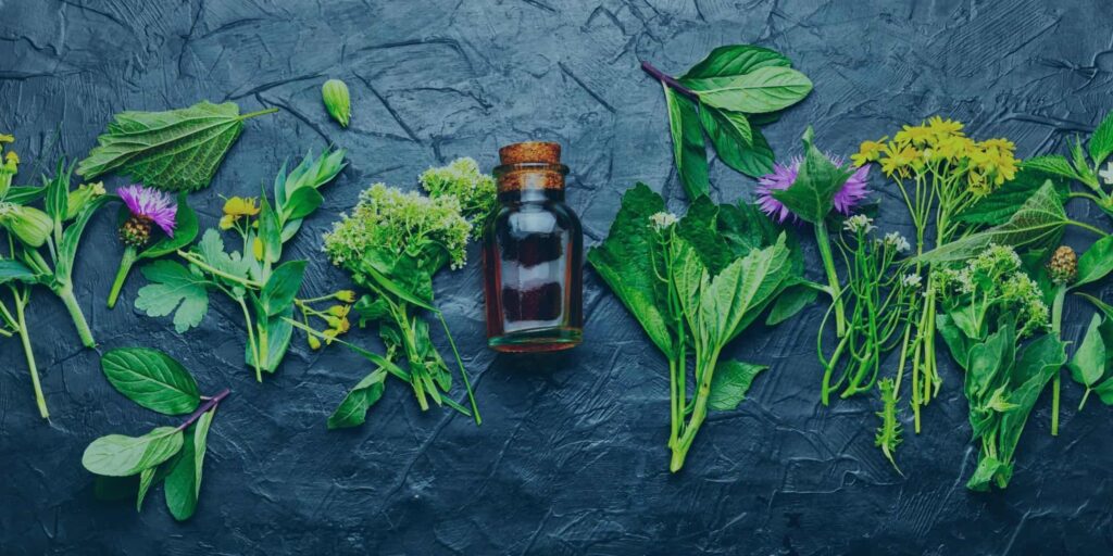 natural solution2022