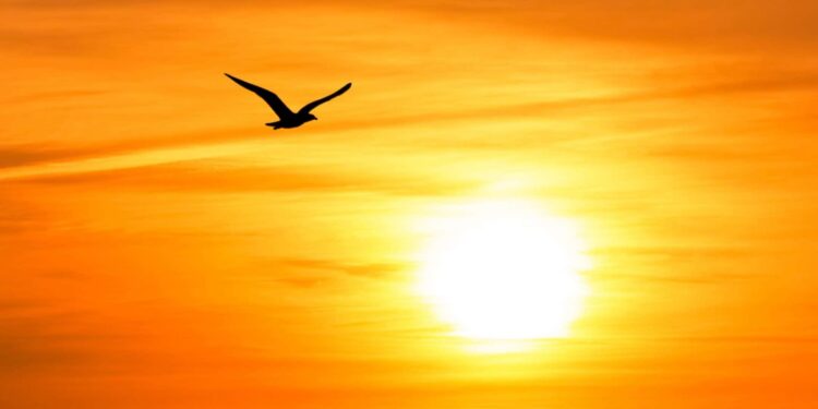 Letting Go by Paul Selig