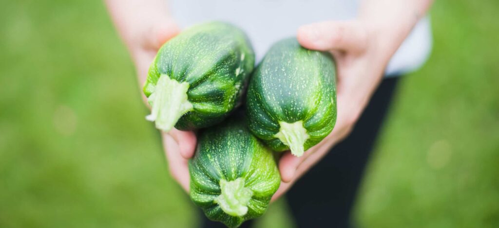 zucchini