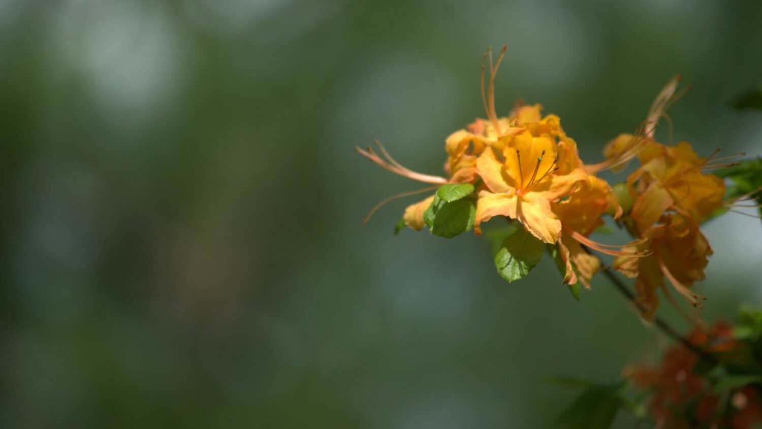 Spirituality & Karma