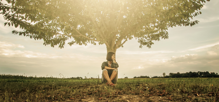 Ego or Soul Sophie Frabotta Blog Header