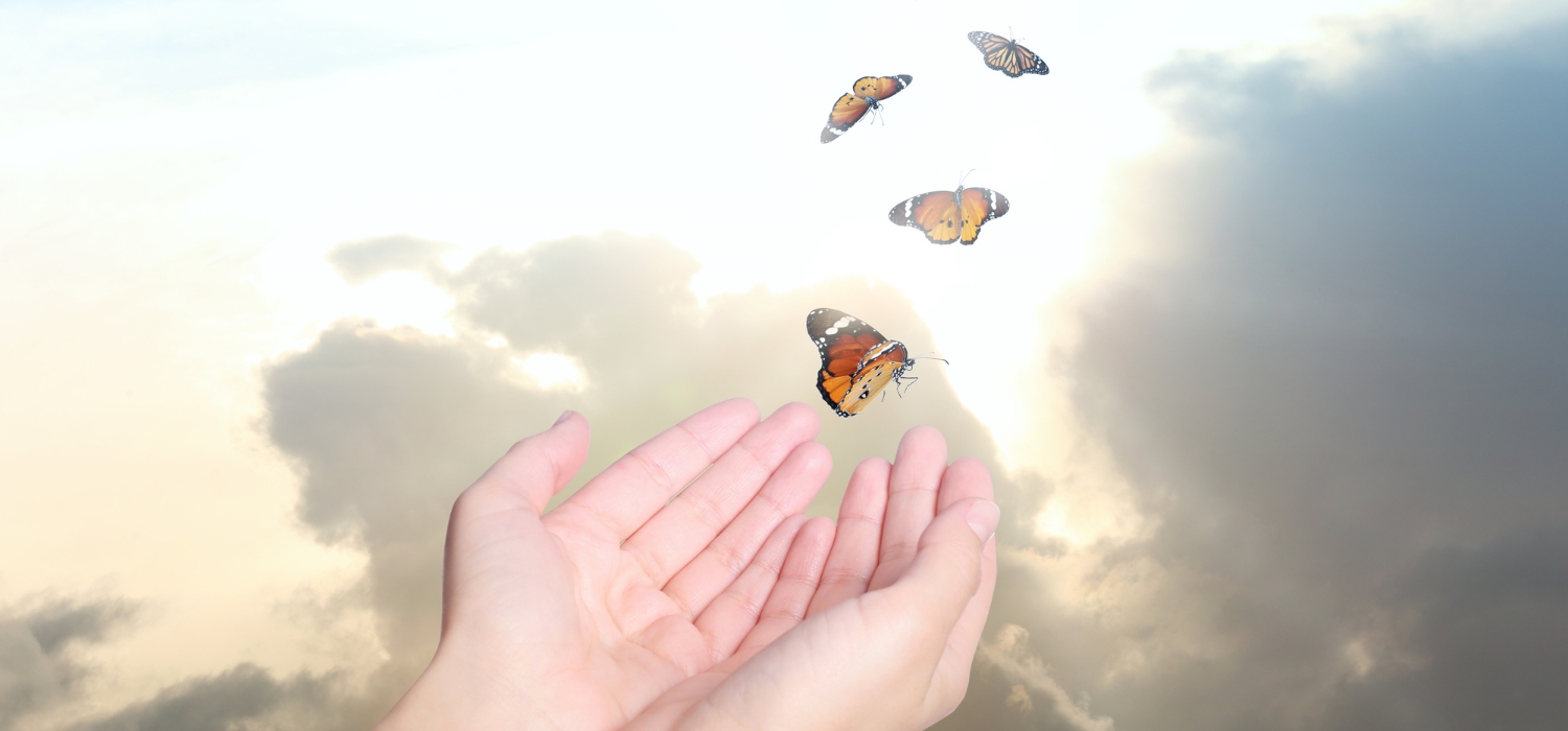 Profeta Forgiveness Blog