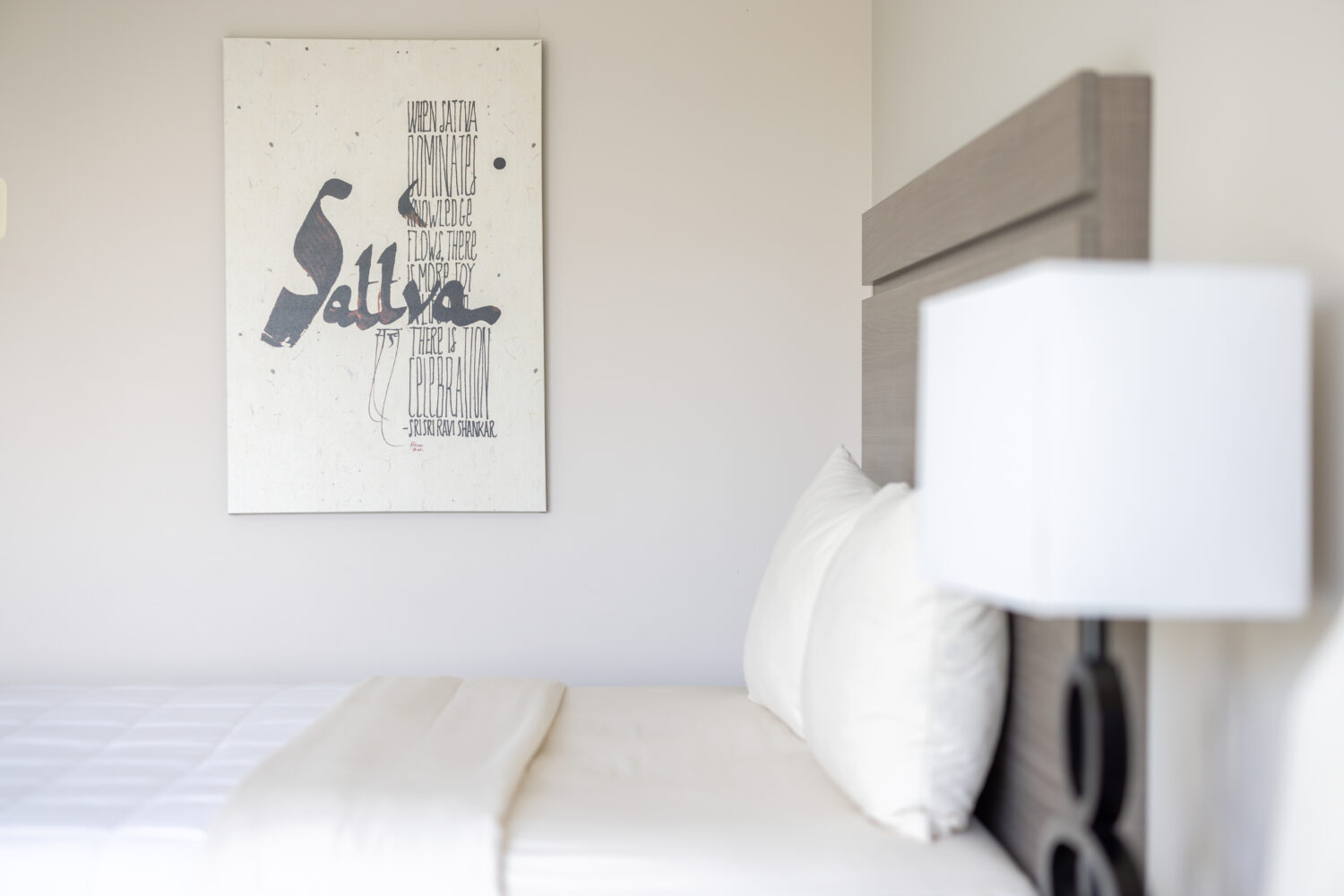 Photo by Jack Robert