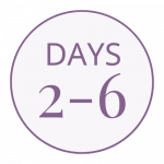 Days 2-6