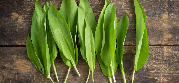 Asparagus & Wild Garlic Risotto